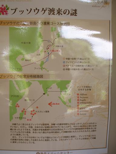 c0180460_29451.jpg