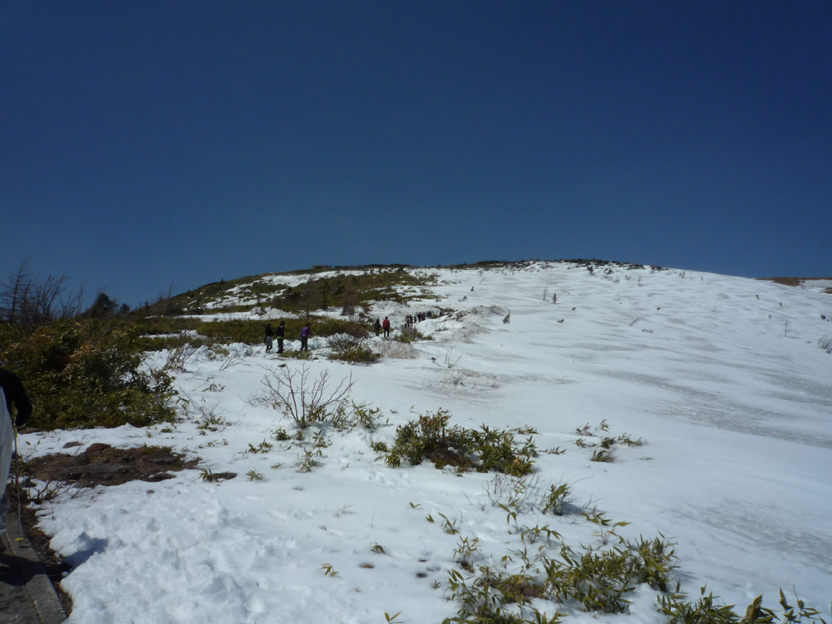 e0159865_2455711.jpg