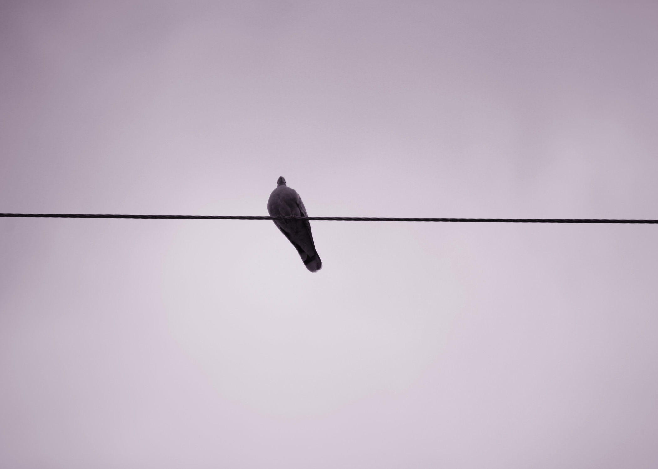 c0122469_844690.jpg