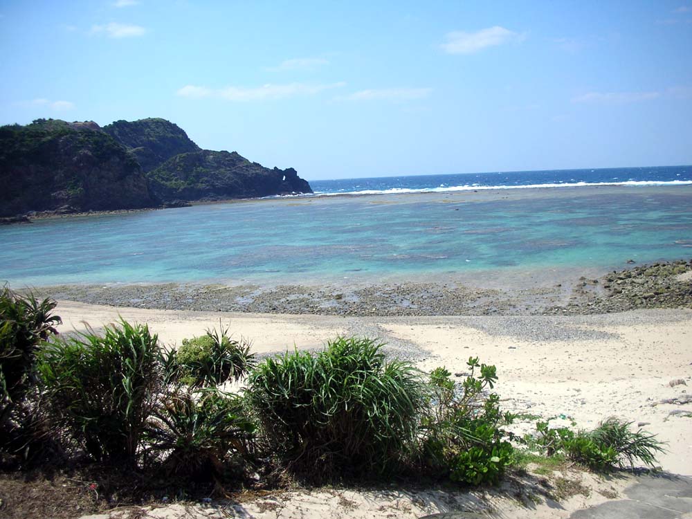 a0084771_1395362.jpg