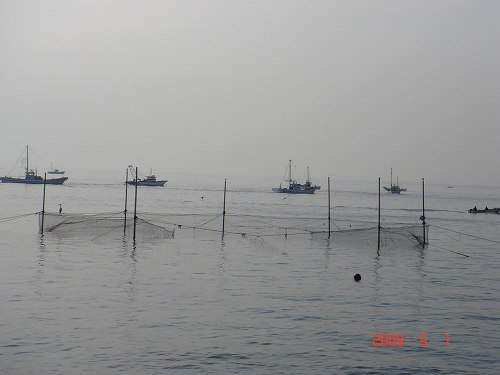 d0007071_424183.jpg