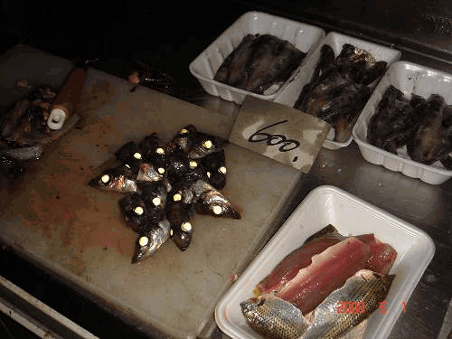 d0007071_5462436.gif