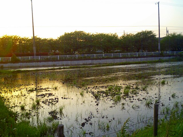 b0155973_1515367.jpg