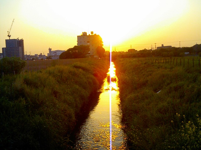b0155973_15211100.jpg