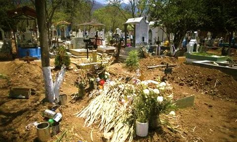 メキシカン・ペイシェント 封印された患者ゼロ号_d0123476_9394271.jpg