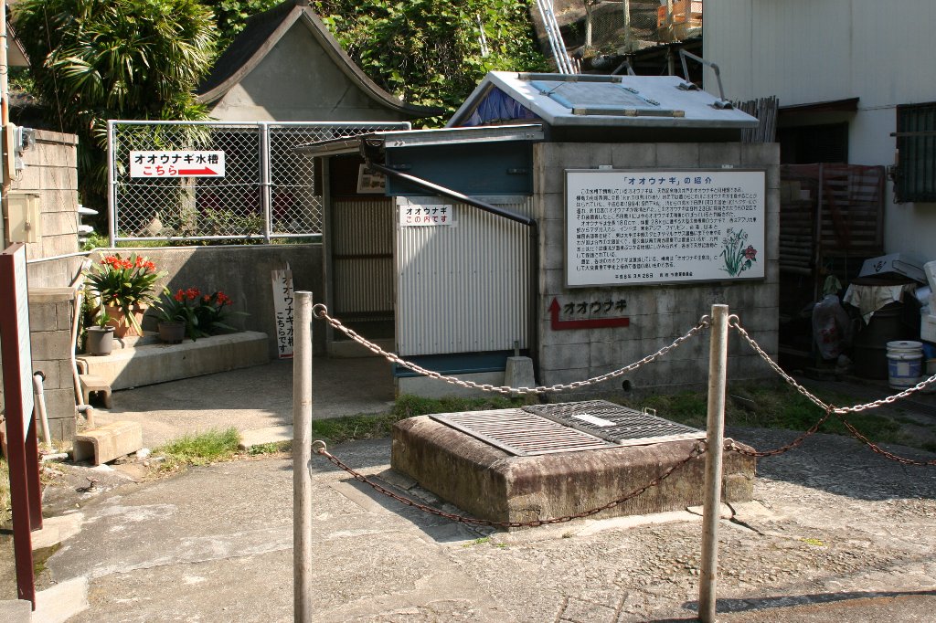 b0046478_2041343.jpg