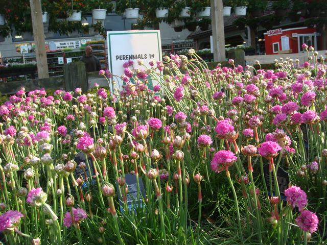 d0100880_3433081.jpg