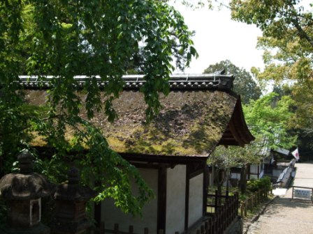 奈良散策食べ歩きポタ_e0138081_21451148.jpg