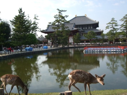 奈良散策食べ歩きポタ_e0138081_2219166.jpg