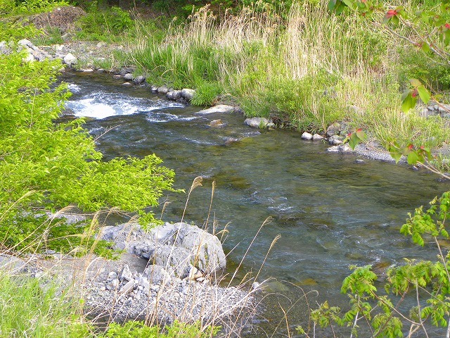 c0176183_2223922.jpg
