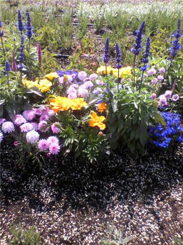 f0189791_23513999.jpg