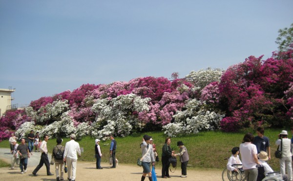 堺市浅香山浄水場つつじの通り抜け 北川ふぅふぅの 赤鬼と青鬼のダンゴ 絵てがみのある暮らし