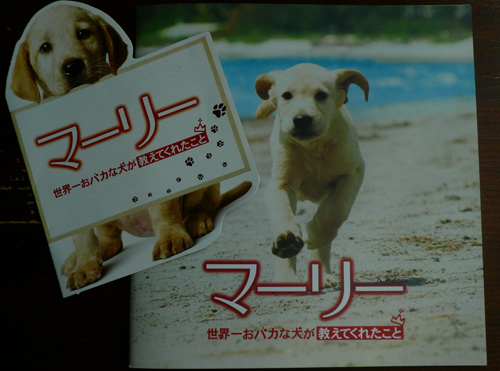 映画「マーリー　世界一おバカな犬が教えてくれたこと」_f0205995_10352615.jpg