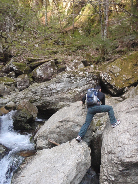 c0147398_0103875.jpg