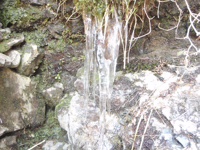 c0147398_014881.jpg