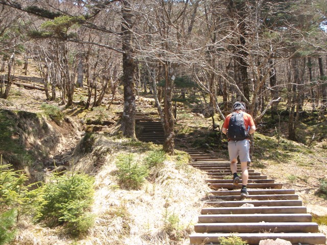 c0147398_0151167.jpg