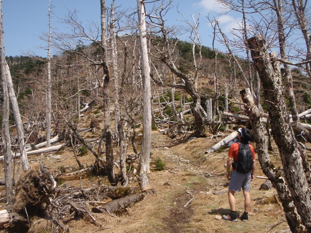 c0147398_0151815.jpg