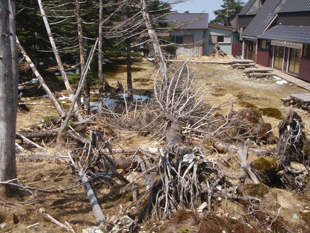 c0147398_0153858.jpg