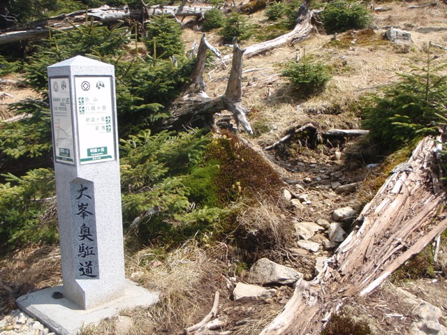 c0147398_0161030.jpg