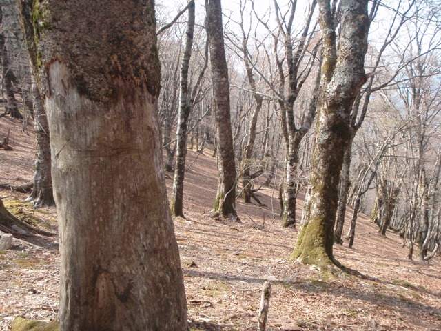 c0147398_0161844.jpg