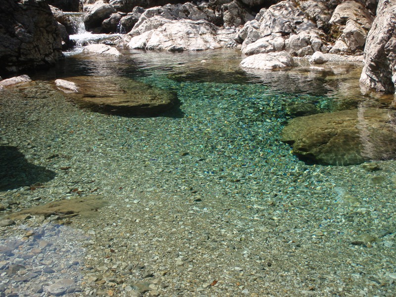c0147398_093560.jpg