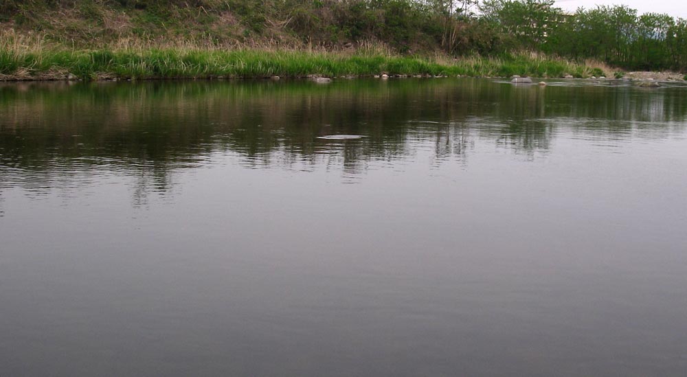 c0095801_2059980.jpg