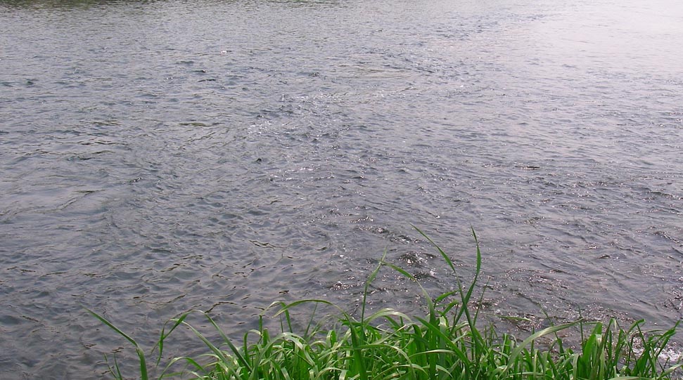 c0095801_210984.jpg