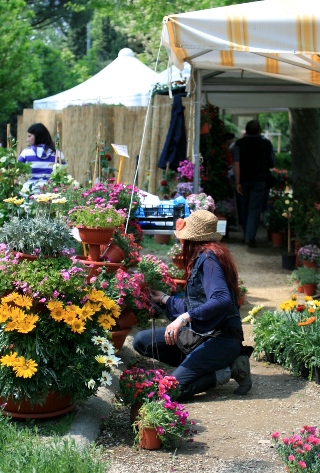 Mostra Mercato Primaverile di Pianti e Fiori 2009_c0147201_14195756.jpg