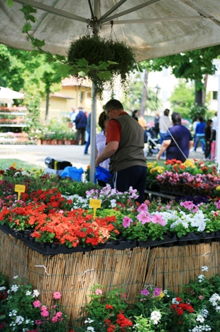 Mostra Mercato Primaverile di Pianti e Fiori 2009_c0147201_14294458.jpg