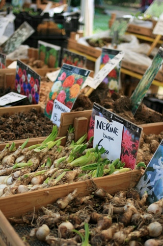 Mostra Mercato Primaverile di Pianti e Fiori 2009_c0147201_14325335.jpg