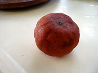 e0118904_195466.jpg