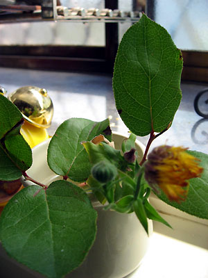e0118904_20125987.jpg