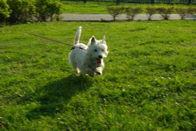 e0138005_23171047.jpg
