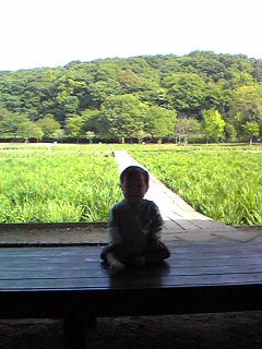 c0164106_9461486.jpg