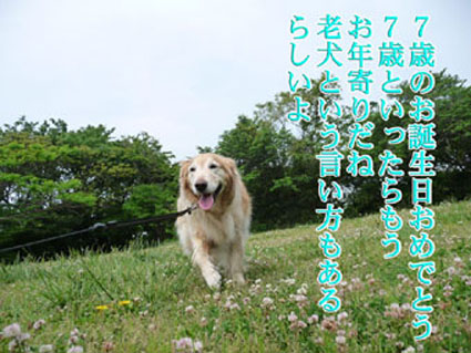 e0072606_20171521.jpg