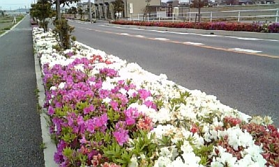 a0063907_2165417.jpg