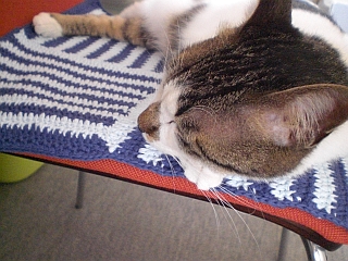 d0131207_851574.jpg