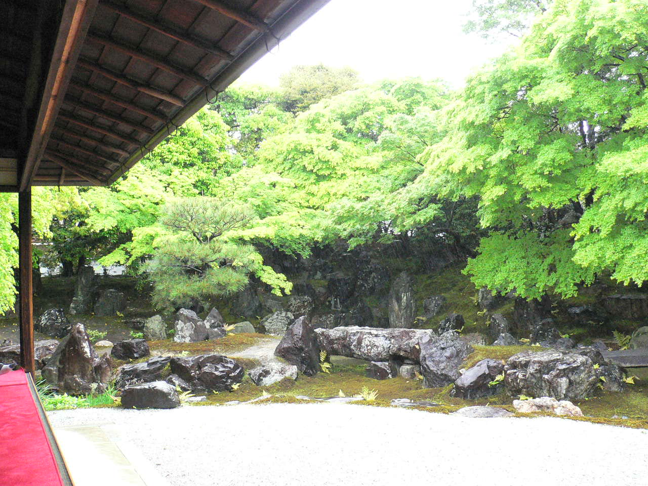 煙霧・新緑の高台寺、圓徳院　散策。_e0159907_3155598.jpg