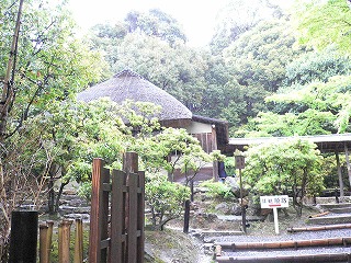 煙霧・新緑の高台寺、圓徳院　散策。_e0159907_4154262.jpg