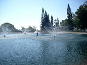 f0116707_943271.jpg