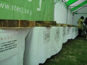「国産材」つくる・さわる・わかる。_b0131012_213286.jpg