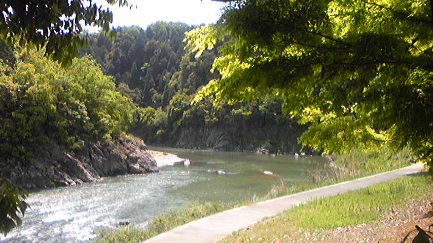 d0004717_5352556.jpg