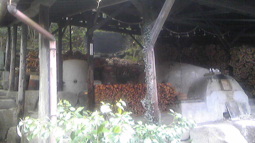 d0004717_536395.jpg