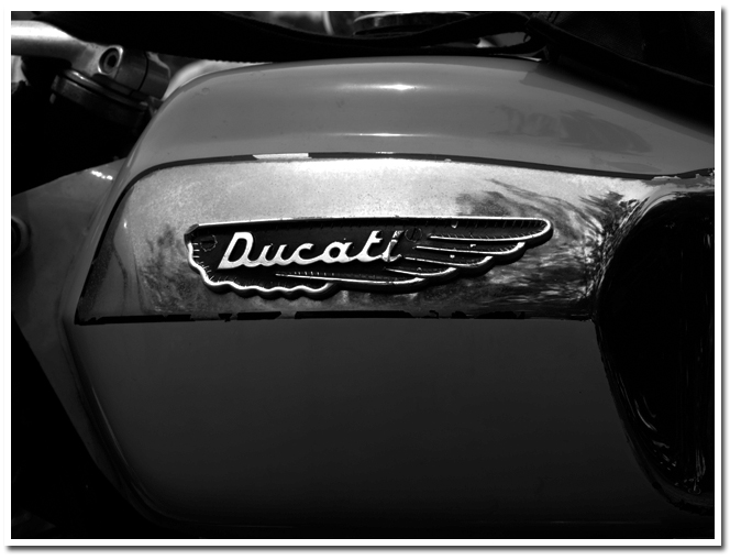 Single Ducati Meeting_f0063721_2137240.jpg