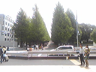 e0110824_12353721.jpg