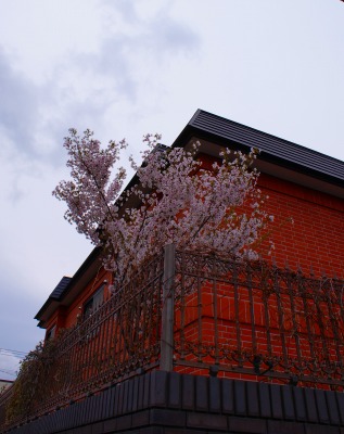 f0170524_167713.jpg