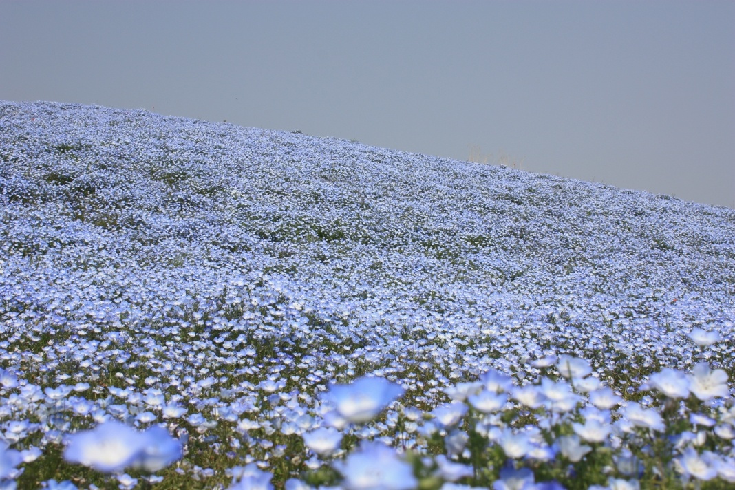 a0021727_2240526.jpg