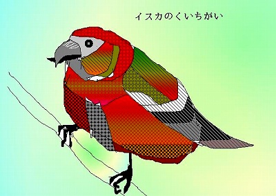 イスカ という鳥 こまどり日記 イスカ という鳥 こまどり日記
