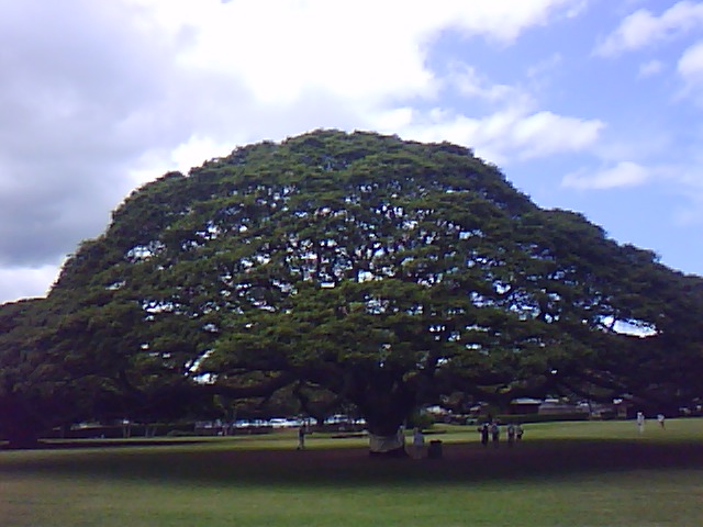 b0137932_11305356.jpg