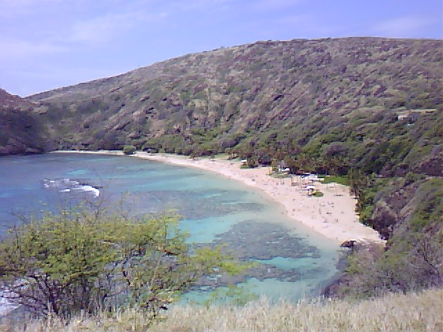 b0137932_1140578.jpg